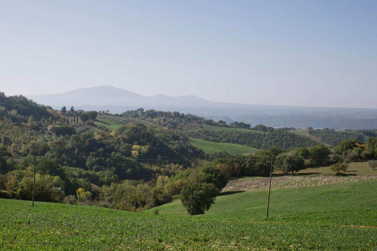 Locanda Cireneo Lugnano in Teverina Esterno foto